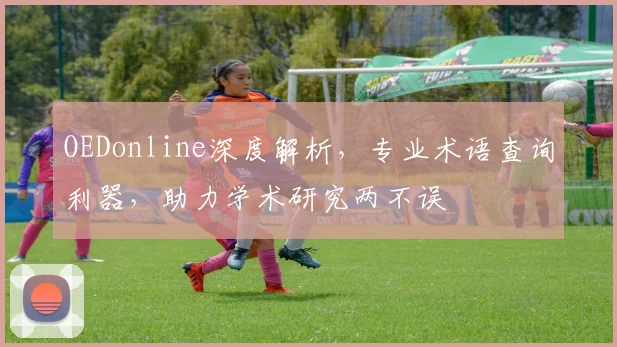 OEDonline深度解析，专业术语查询利器，助力学术研究两不误