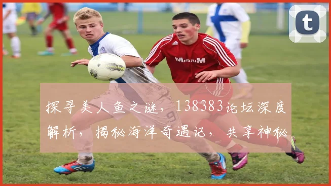 探寻美人鱼之谜，138383论坛深度解析，揭秘海洋奇遇记，共享神秘海洋世界。