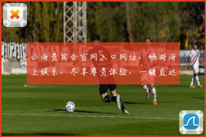 公海贵宾会官网入口网址，畅游海上娱乐，尽享尊贵体验，一键直达，畅游无阻，三重惊喜，不容错过