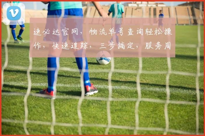 速必达官网，物流单号查询轻松操作，快速追踪，三步搞定，服务周到，体验非凡，。